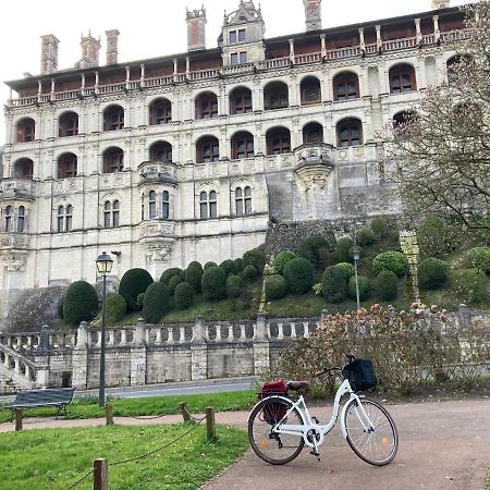 Gite Blois Chatel Exterior photo