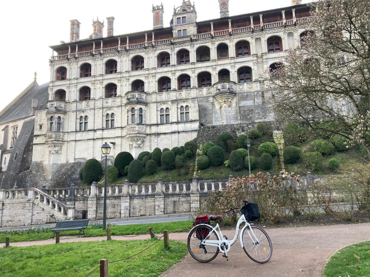 Gite Blois Chatel Exterior photo